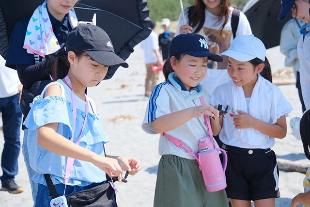 Observation of hatchling turtles