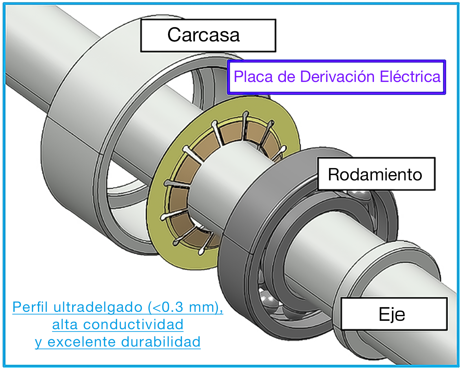 Placa de Derivación Eléctrica (EByP)