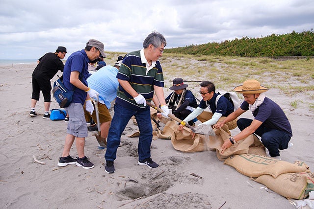 Sandy beach restoration activities