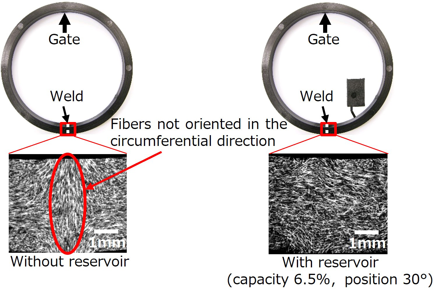 Fig.2　Fiber orientation around the weld of the ring specimen