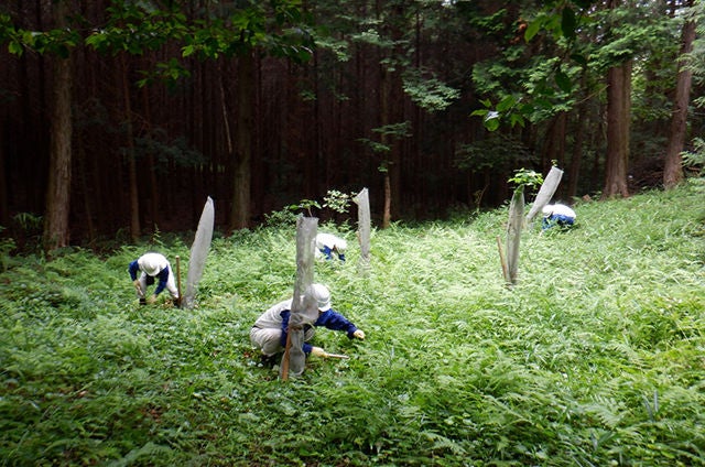 Ishibe Plant