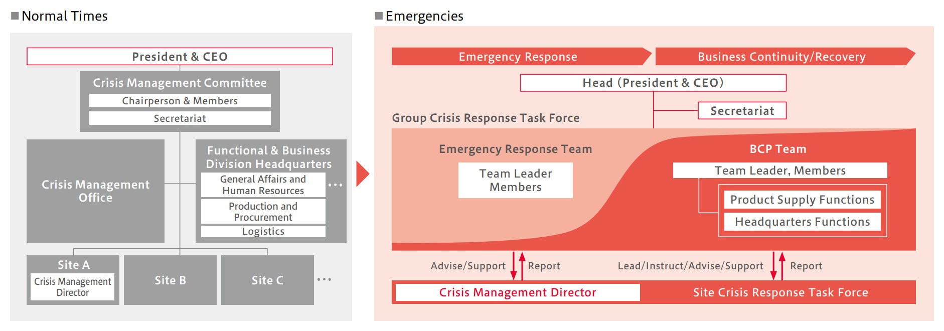 Crisis Management Structure for Disaster Risks