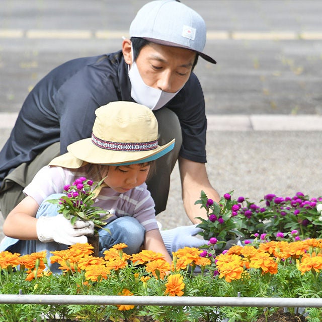 整備した花壇