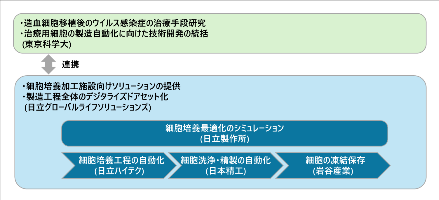 治療用細胞の製造自動化に向けた共同開発の体制(イメージ図)