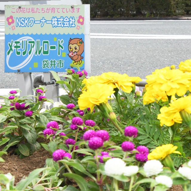 花壇