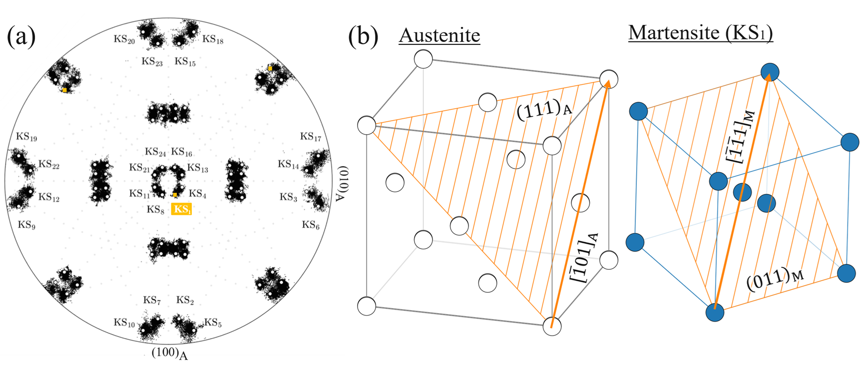 Fig.5　(a) Orientation distribution of martensite shown by pole figure and (b) an example of orientation relationship