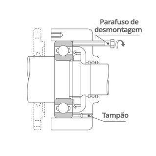 Seção transversal 2D de um rolamento de esferas com um encaixe justo na carcaça, mostrando um tampão em um furo de desmontagem (necessário durante a operação normal) e um parafuso em outro. Após remover os tampões, os parafusos são apertados uniformemente para remover o anel externo.