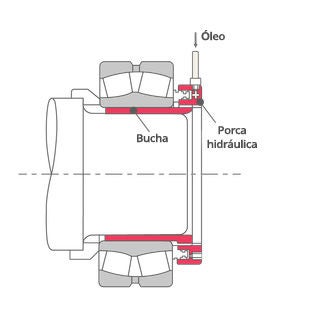 seção transversal 2D