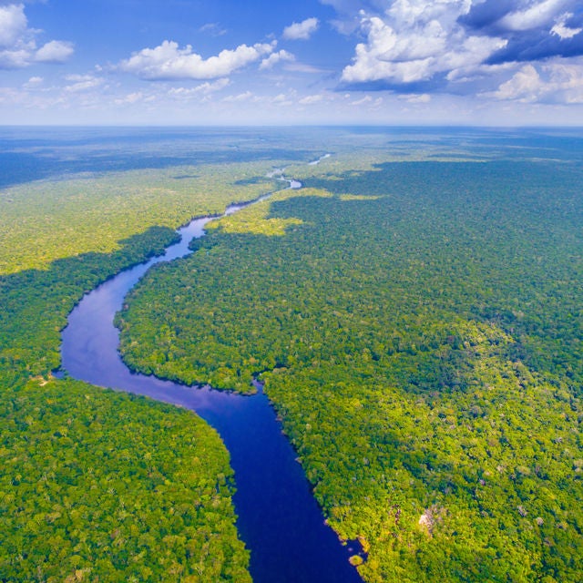 Environment