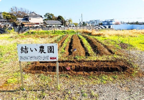 緑化