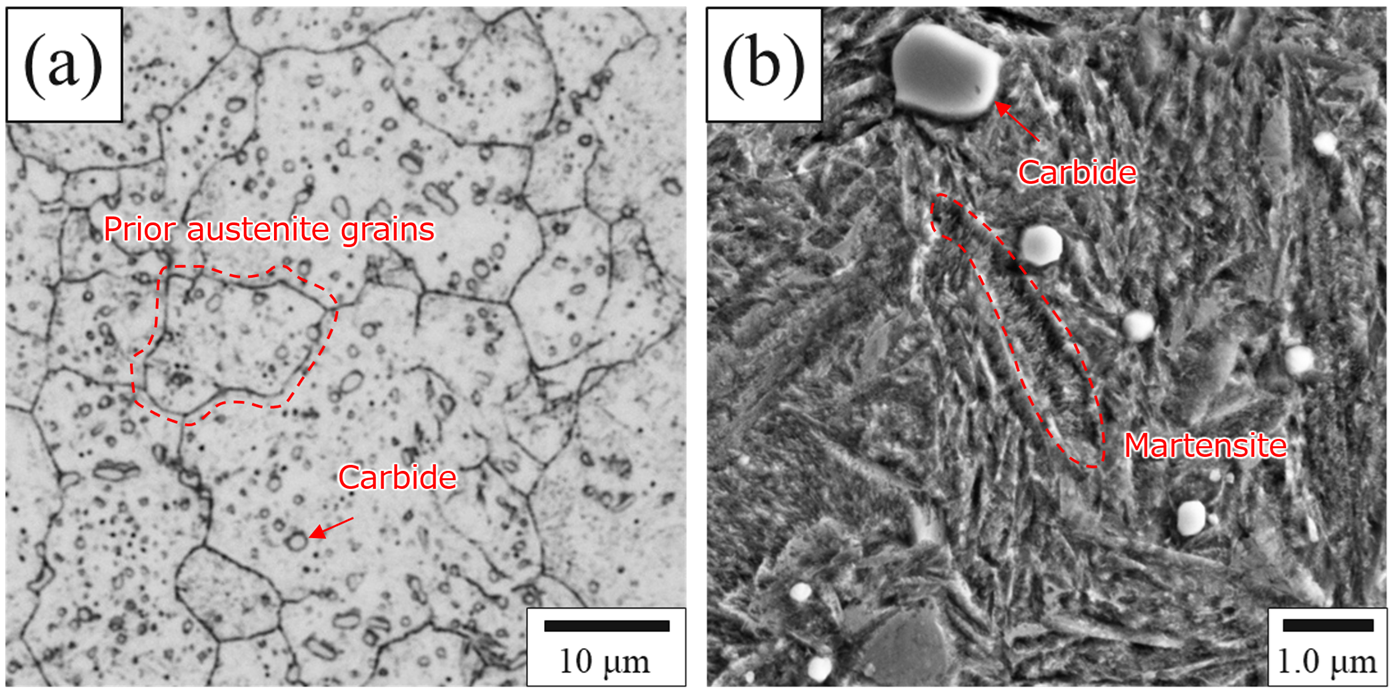 Fig.2　Examples of microstructural observation of bearing steel (a) Optical micrograph, (b) Scanning electron micrograph