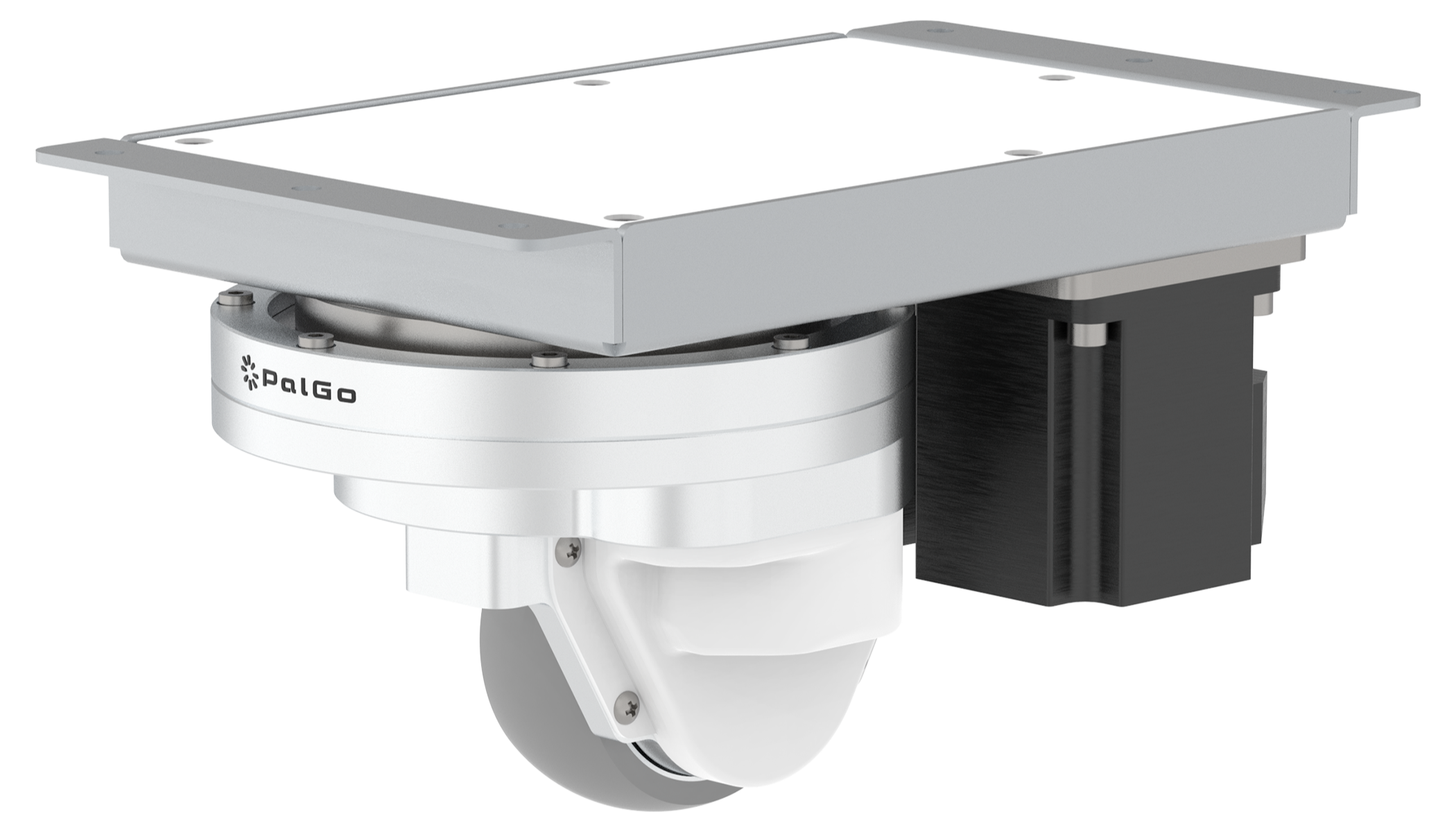 Active Caster PalGoTM Low-Floor Type