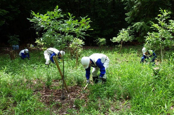 Ishibe Plant