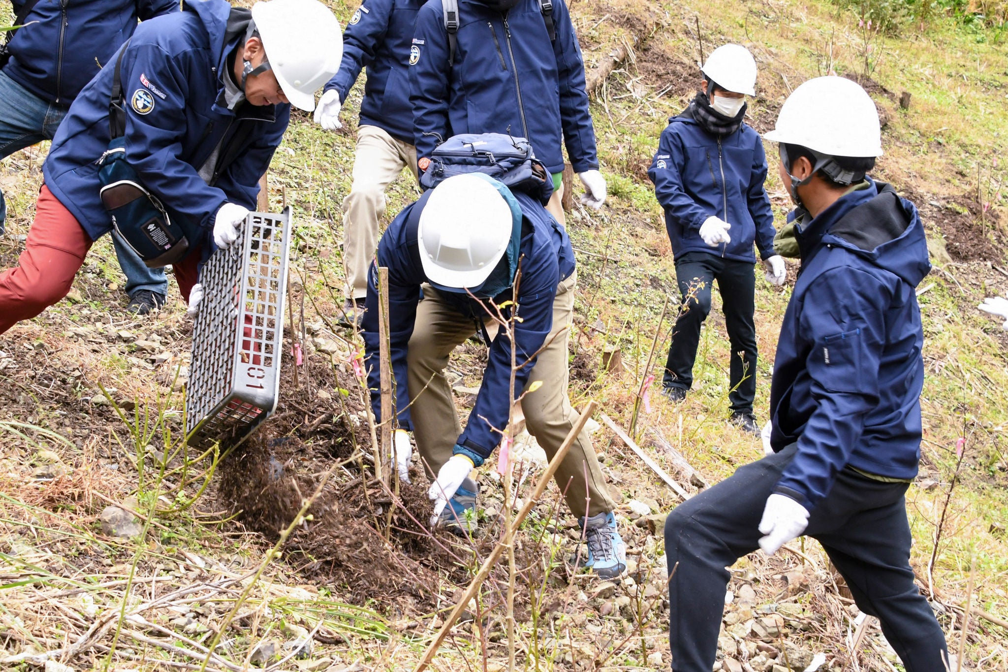 苗木の保護活動
