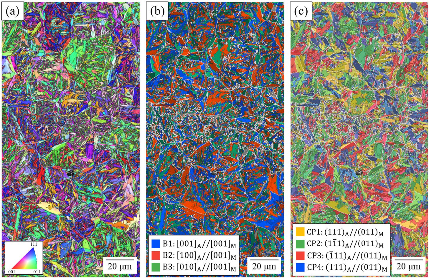 Fig.6　Results of martensite variant identification using R-F space (a) Crystal orientation map; (b) Bain groups; (c) CP groups