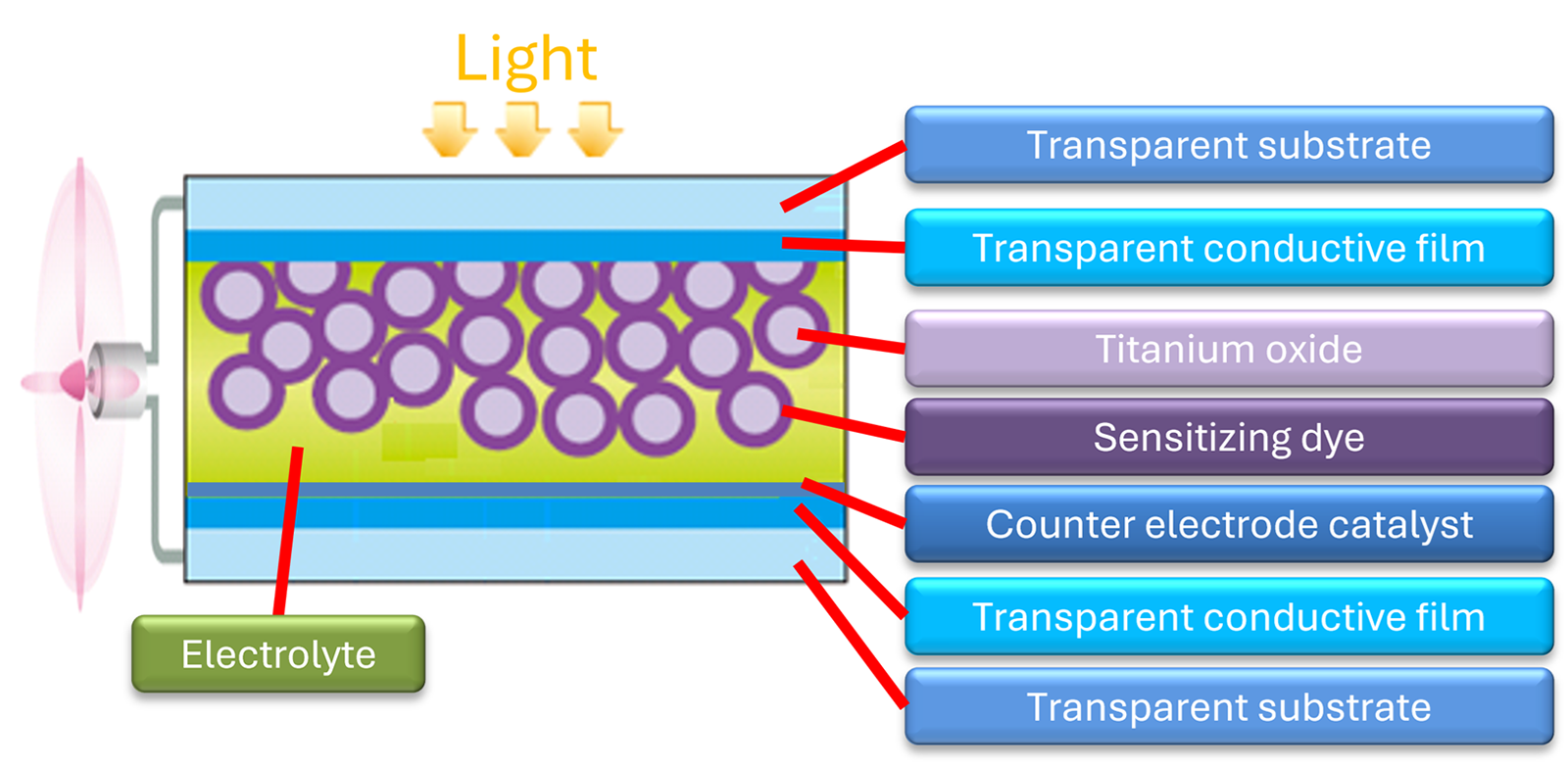 Fig.3　Structure of dye-sensitized solar cell (cross-sectional view)