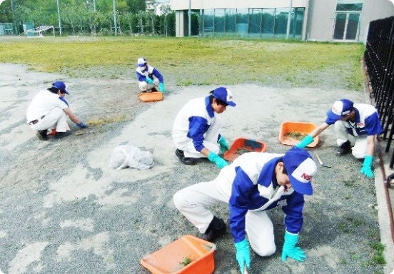 除草作業