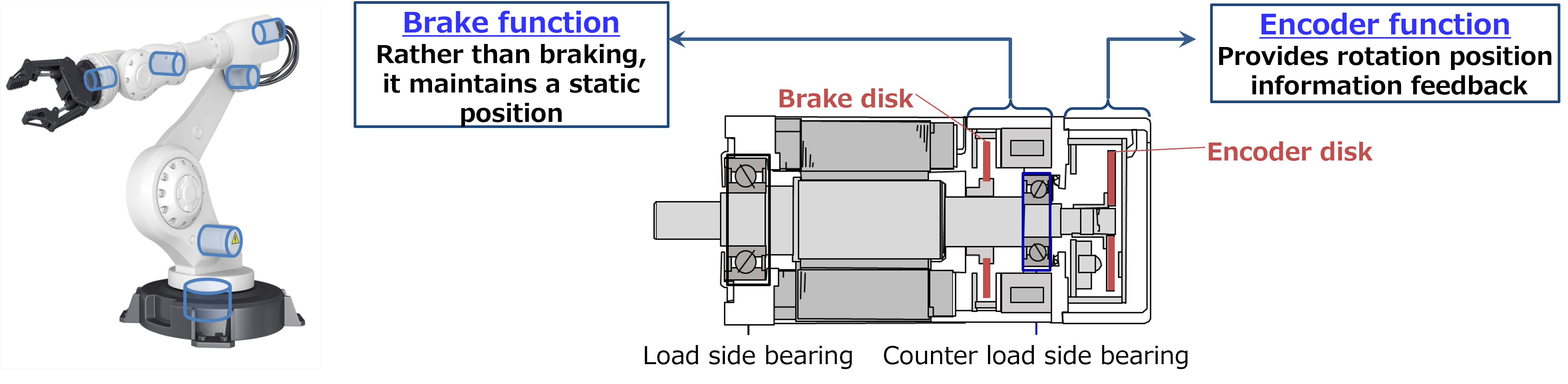 Example of Servomotor Placement on a Robot, and Bearing Positioning in a Servomotor