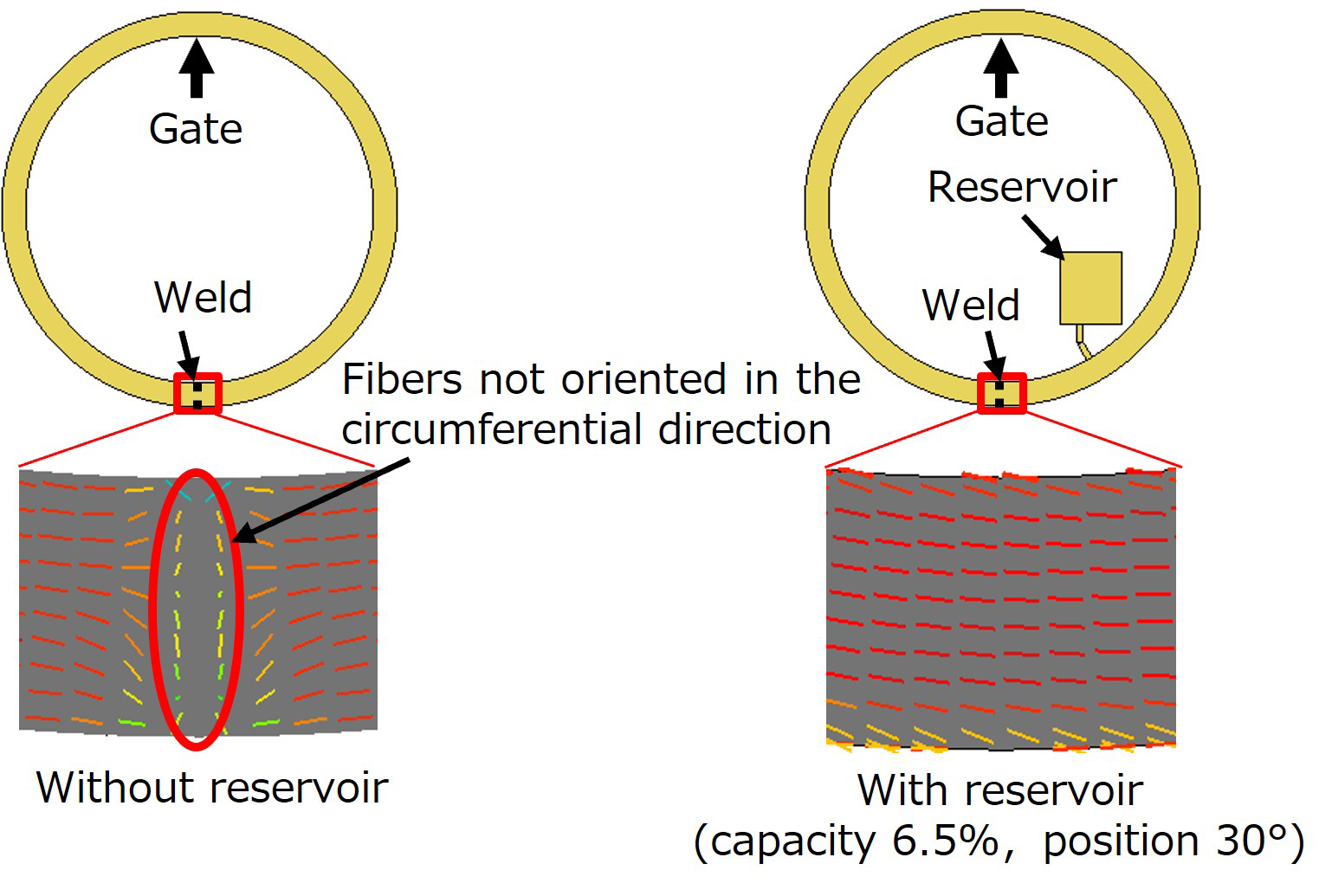 Fig.4　Fiber orientation analysis results around the weld of ring specimen