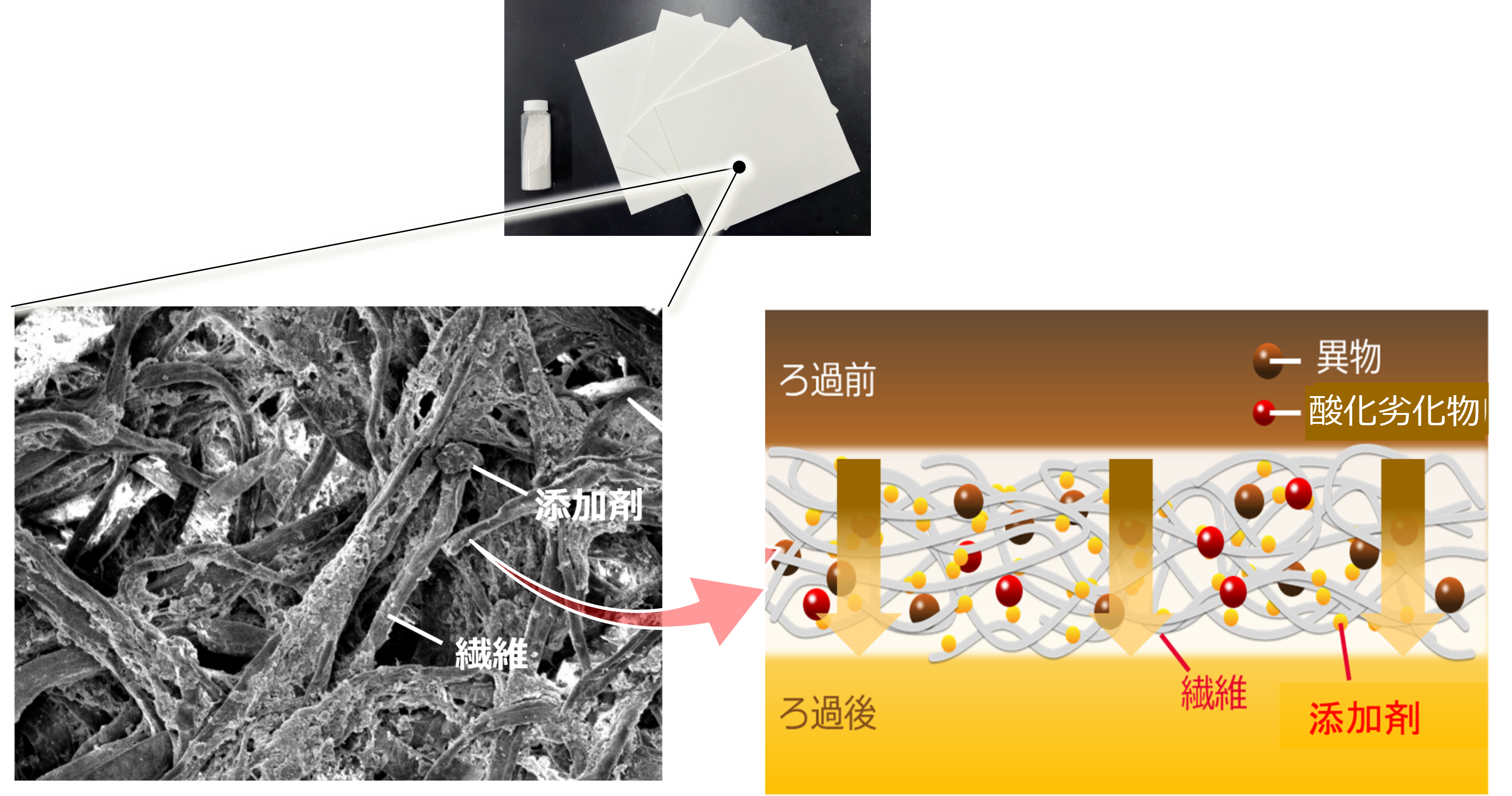 本製品の構造　電子顕微鏡写真（写真：左）、劣化抑制作用イメージ（イラスト：右）