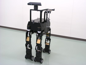 Guide-Dog Style Robot
