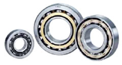 NSKHPS™ for Pumps & Compressors