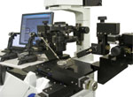 Manipulation system for micro applications.