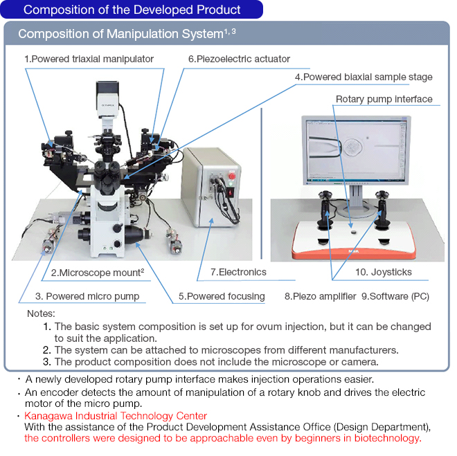 Composition of the Developed Product