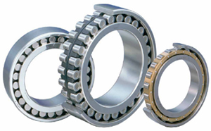 High Precision and High Performance Cylindrical Roller Bearings (APTSURF Series)