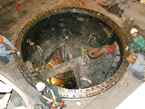 Anti-Wear Spherical Roller Bearing