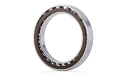
Bearings for wave gear reducers
