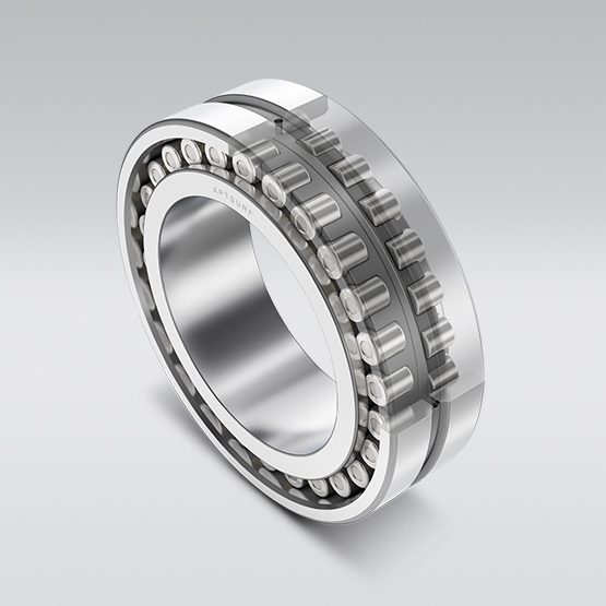 Double Row Cylindrical Roller Bearings