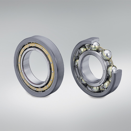 Deep Groove Ball Bearing, PPS Coated, 2Comp