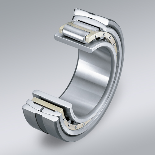 Cylindrical Roller Bearing, Aligning Rings, Cut