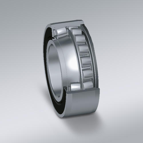 Spherical Roller Bearings, SRB, Double Row, Sealed, Cut, Illustration; 500x500.jpg